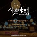 사촌리2 소교량 17 | 2022 사촌야행 | 후기영상
