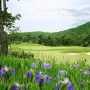 고향의 그 푸른 잔디(Green green grass of home) 이미지