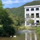 토브하르 이미지