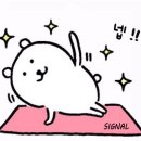 시그널필라테스