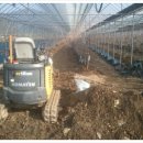 모실농장 이미지