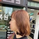 샤린헤어