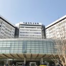 서울대학교병원 네이버블로그