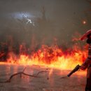 더웨스트(The West) 이미지