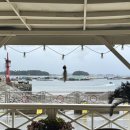 서산팜스 | 태안 당암포구 카페 더 마리나 (feat. 오션뷰)