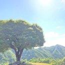 살구나무펜션민박 이미지