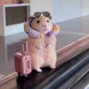 자신감 업 초등영어회화 | 대전 영어회화 초보 후기 | 컬컴 대전둔산점 레벨 1 후기 (왕초보도 가능?!)