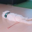 옴펙토리 이미지