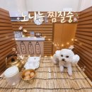 백만대중목욕탕(목욕탕 건물입구 우측) | ​[부산/명지] 강아지와 함께 지지는 찜질방? 신상 반려견 동반 찜질방 '휴일도 부산점' 내돈내산 솔직후기!