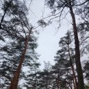 백두숯불구이 | [엄마랑 패키지여행] 내 돈 내산 여담으로 예약한 로망스 투어 울진, 봉화 1박2일 여행후기 2일차_25.03.16