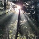 레이크힐스 호텔속리산 이미지