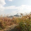 선유공원 이미지