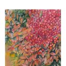 (주)아이비여행 이미지