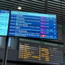 서진태권도 | (7) 힘들어도 여행은 해야지?