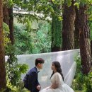노보헤어 - 북구 | [웨딩촬영 후기] 88사이즈 플러스사이즈 통통신부도 만족한 이포토에세이 토탈촬영