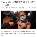 (속보) 美 FDA, 코로나 백신이 암을 유발한다고 인정 ㅋ 이미지