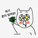 I-2 | [십덕후쪼롱이]레드벨벳 아이린_솔로 콘서트I Will_Seoul_2일차 후기 그리고 컴백 스포들