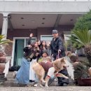 보현목장 이미지