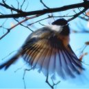 수원-0123 이미지