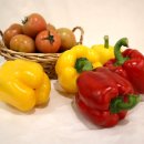 근남농협 이미지