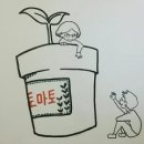 코크니셰 이미지