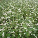 공음농장 이미지