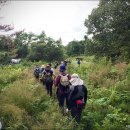 청수목장 이미지