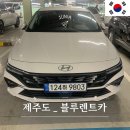 신형렌트카 | 제주도 렌트카 찜카 블루렌트카 내돈내산 더뉴아반떼 신형 렌트 후기 추천