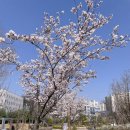 미사누리2호공원 이미지