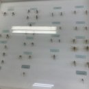 영남대학교자연박물관 이미지