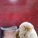 이소메디칼 이미지