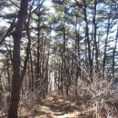 지수면사무소 이미지