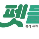 샵 초도 이미지