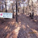 우면산6-11 이미지