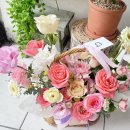 드플봄날