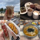 새천년공원길 | 삼척여행 : 카페 얼, 투썸, 명랑핫도그, 육향 내돈내산 솔직후기