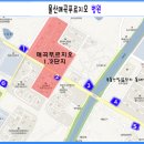 연세피움의원 이미지