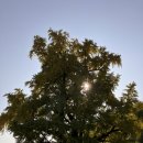 대백해물마을 이미지