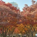 서문시장 #2-3 이미지