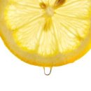 (주)레몬 이미지