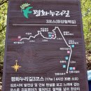 조강철책길 이미지