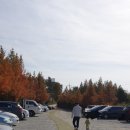 안면도베르사유 | 태안여행 2일차 (팜카밀레, 몽산포제빵소 안면도수산시장)