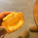 히포레스트(Hipporest) 이미지