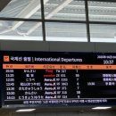 더케이660 | [260604-05] 마쓰야마 여행 - 무료셔틀버스, 미쓰코시백화점, 마쓰야마성, 도고온천