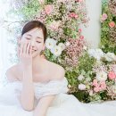 보니타컬렉션
