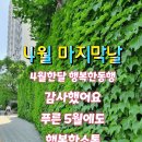 봄의끝자락으로4월의 마지막날 입니다 이미지