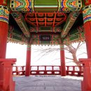 육의정
