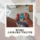월드펫 | 펫더월드 커스텀 키보드키링 클릭감 스트레스 해소템 후기