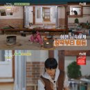 개언니네 이미지