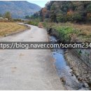 손덕문 공인중개사사무소 이미지